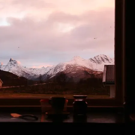 Selvstendig Bodø